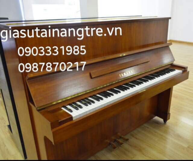 Kinh nghiệm chọn đàn Piano cơ
